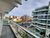 Apartamento, 3 quartos, 90 m² - Foto 14