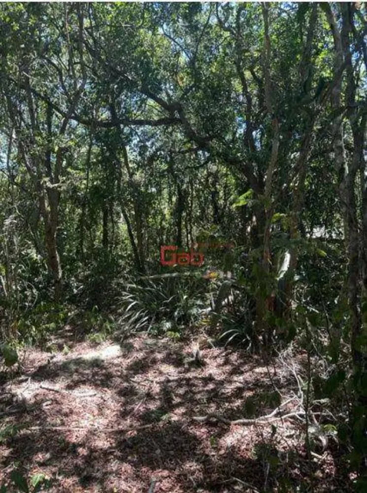 Terreno, 450 m² - Foto 8