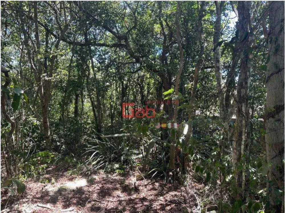 Terreno, 450 m² - Foto 3