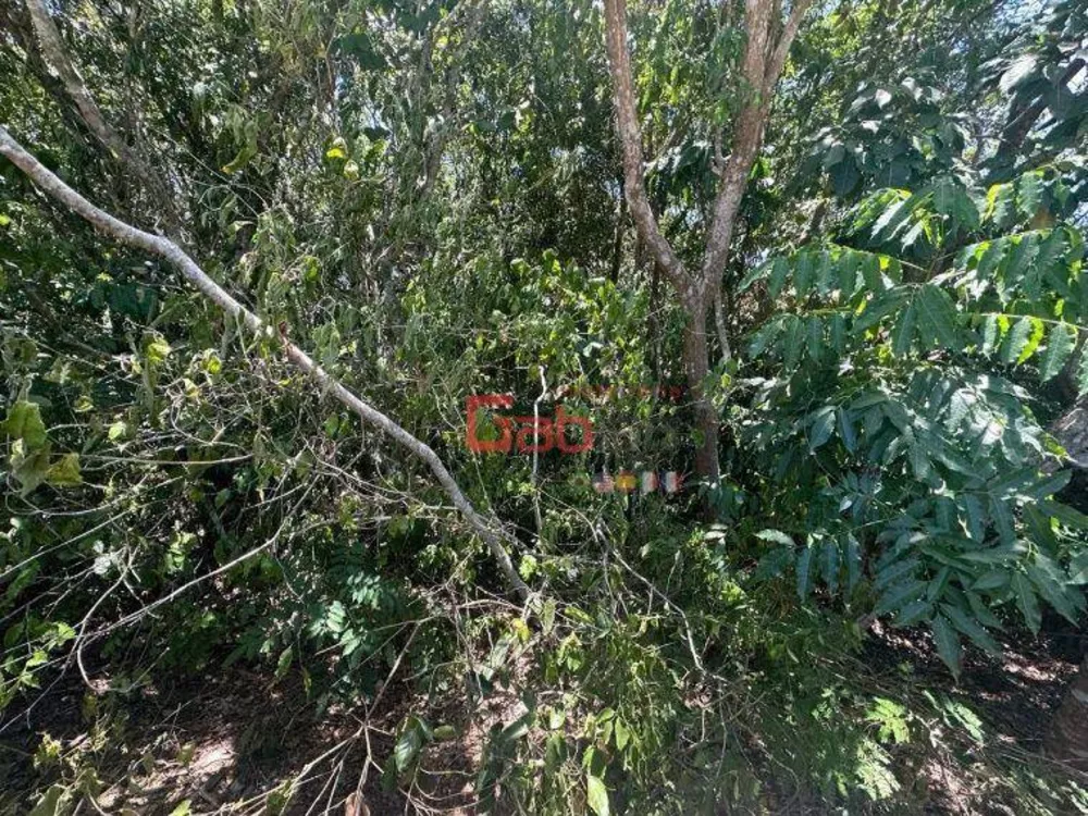 Terreno, 450 m² - Foto 6