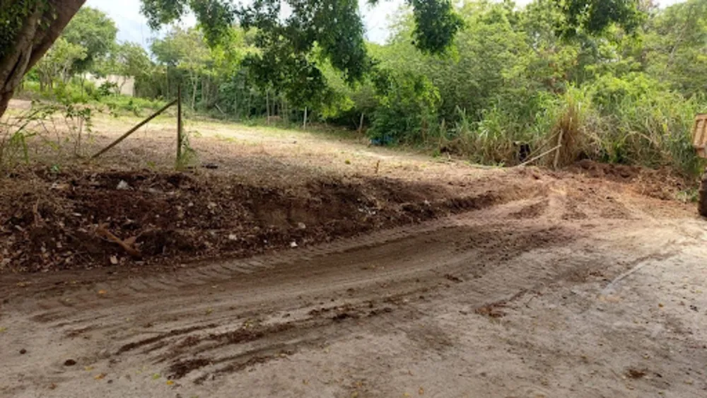 Terreno, 1000 m² - Foto 3