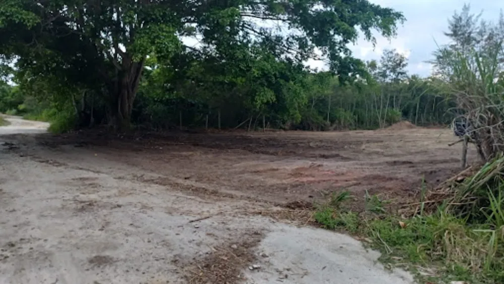 Terreno, 1000 m² - Foto 4