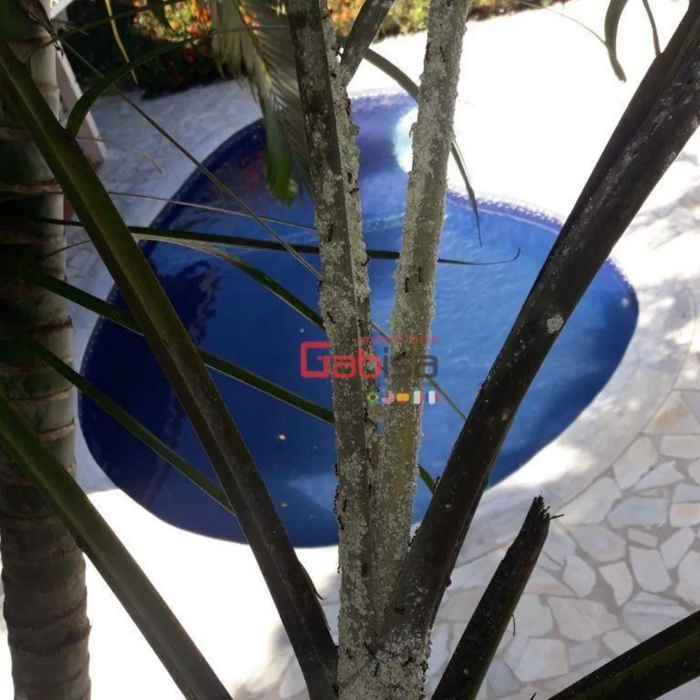 Casa, 5 quartos, 380 m² - Foto 7