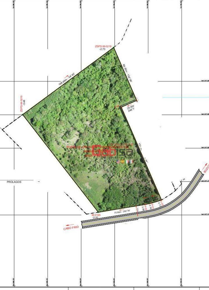 Terreno, 21 hectares - Foto 2