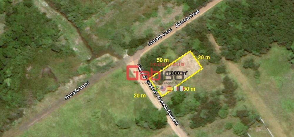 Terreno, 1000 m² - Foto 7