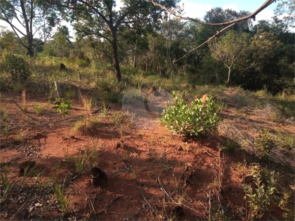 Terreno à venda, 5000m² - Foto 4