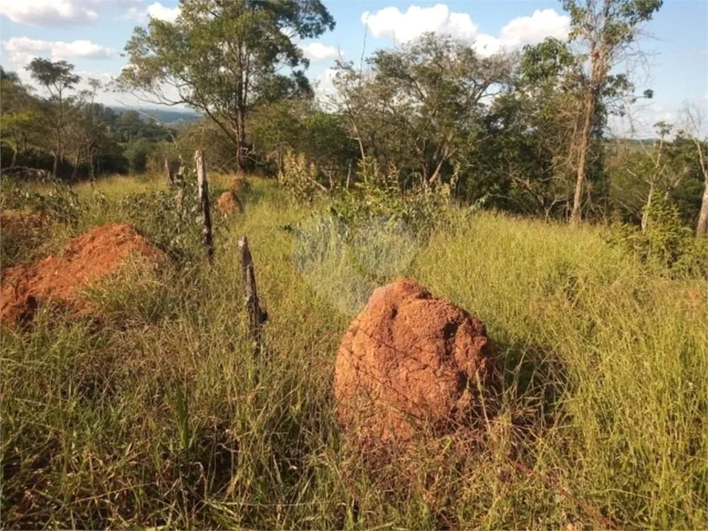 Terreno à venda, 5000m² - Foto 10