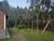 Chácara, 4 quartos, 3 hectares - Foto 3