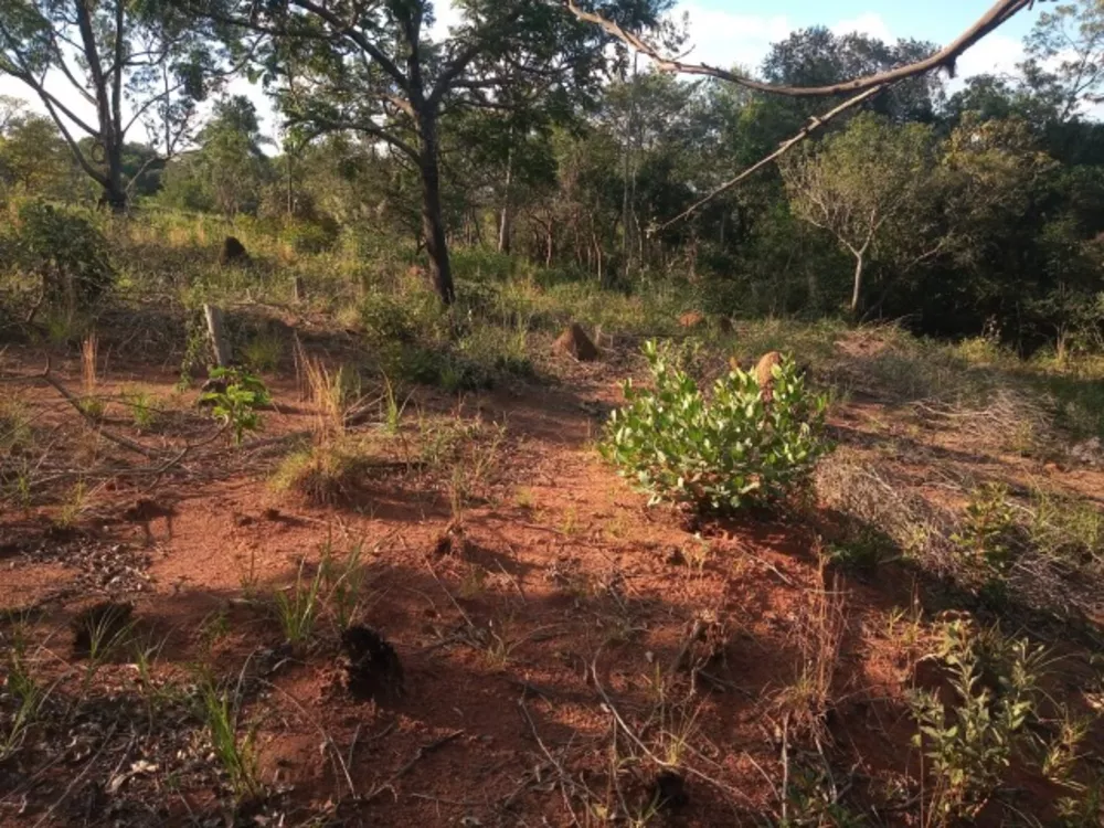 Terreno à venda, 5000m² - Foto 3