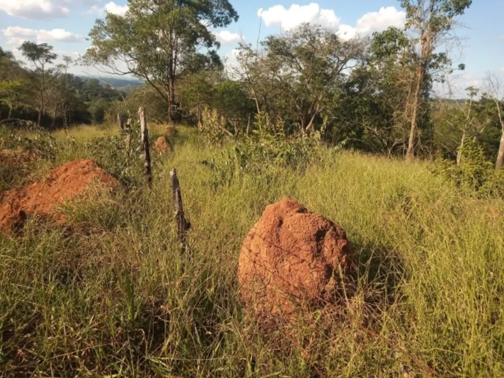 Terreno à venda, 5000m² - Foto 5