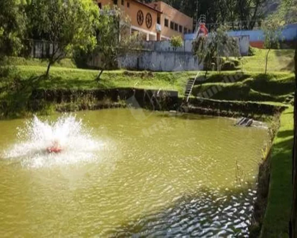 Fazenda à venda com 8 quartos, 19000m² - Foto 1