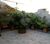 Casa, 2 quartos, 170 m² - Foto 1