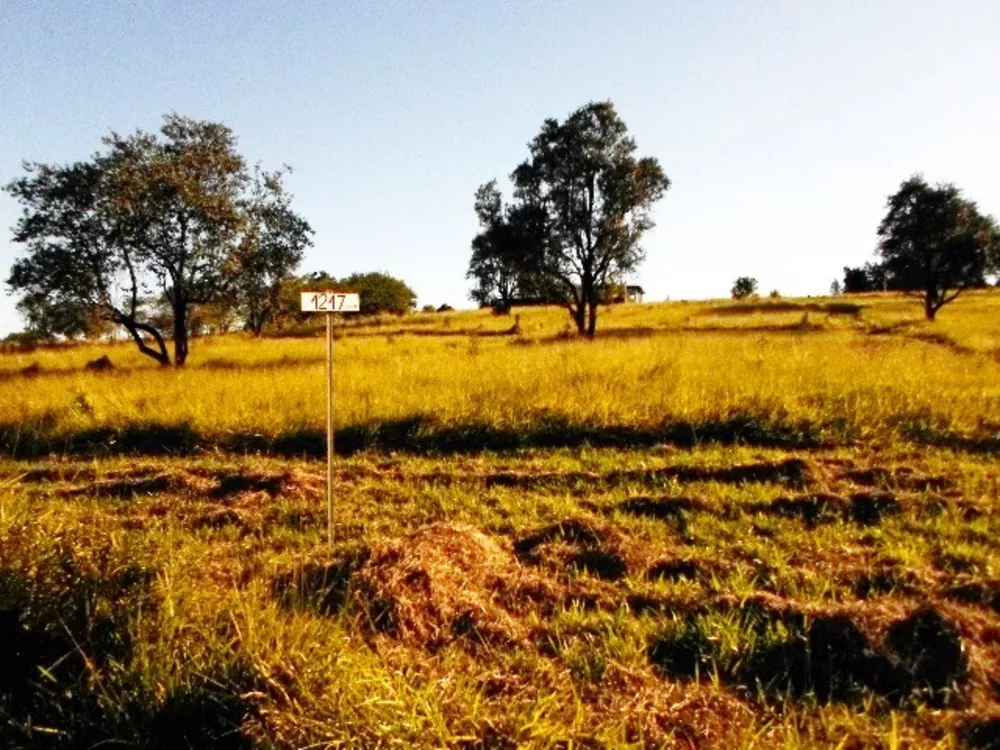 Terreno à venda, 1200m² - Foto 11