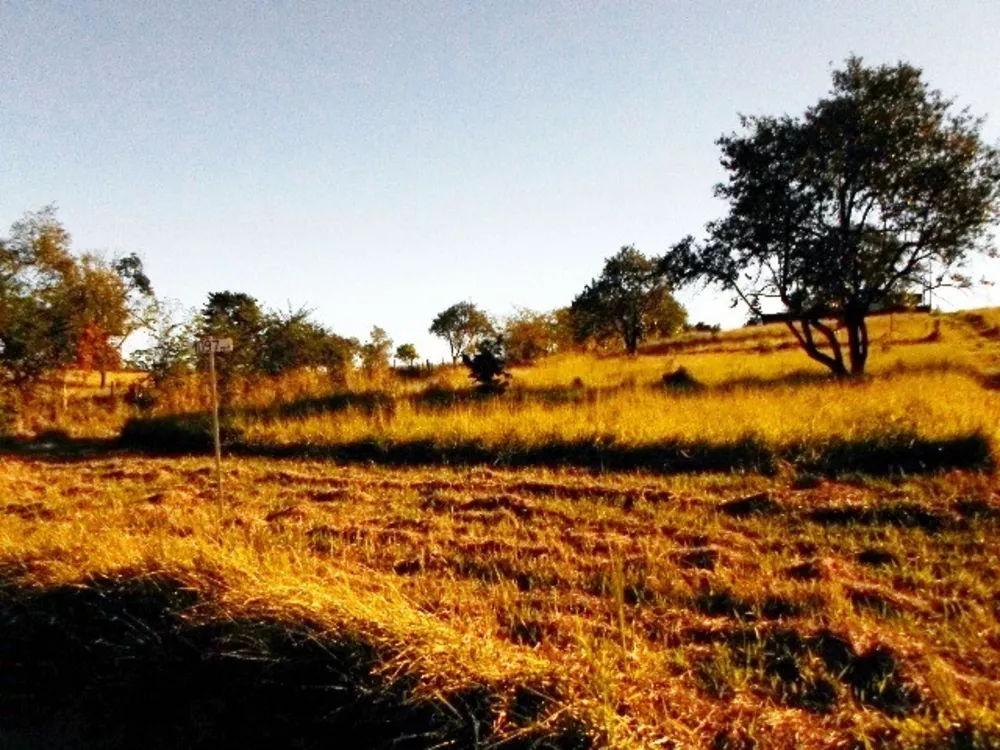 Terreno à venda, 1200m² - Foto 13