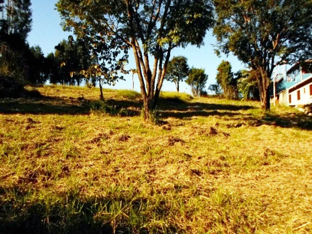 Terreno à venda, 1200m² - Foto 2