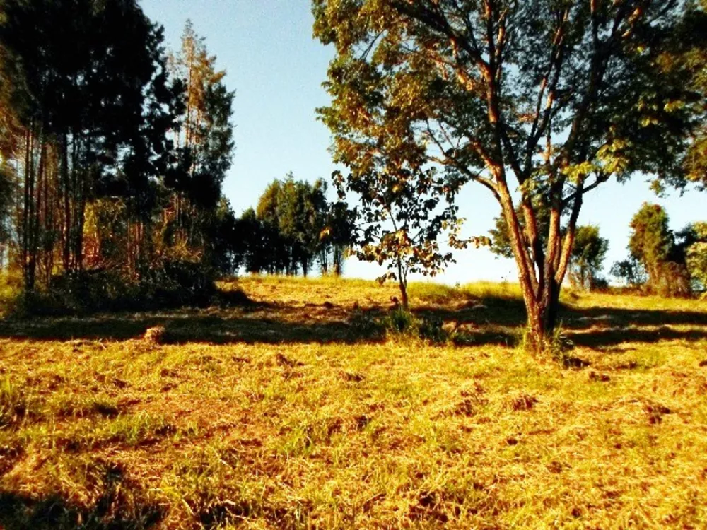 Terreno à venda, 1200m² - Foto 1