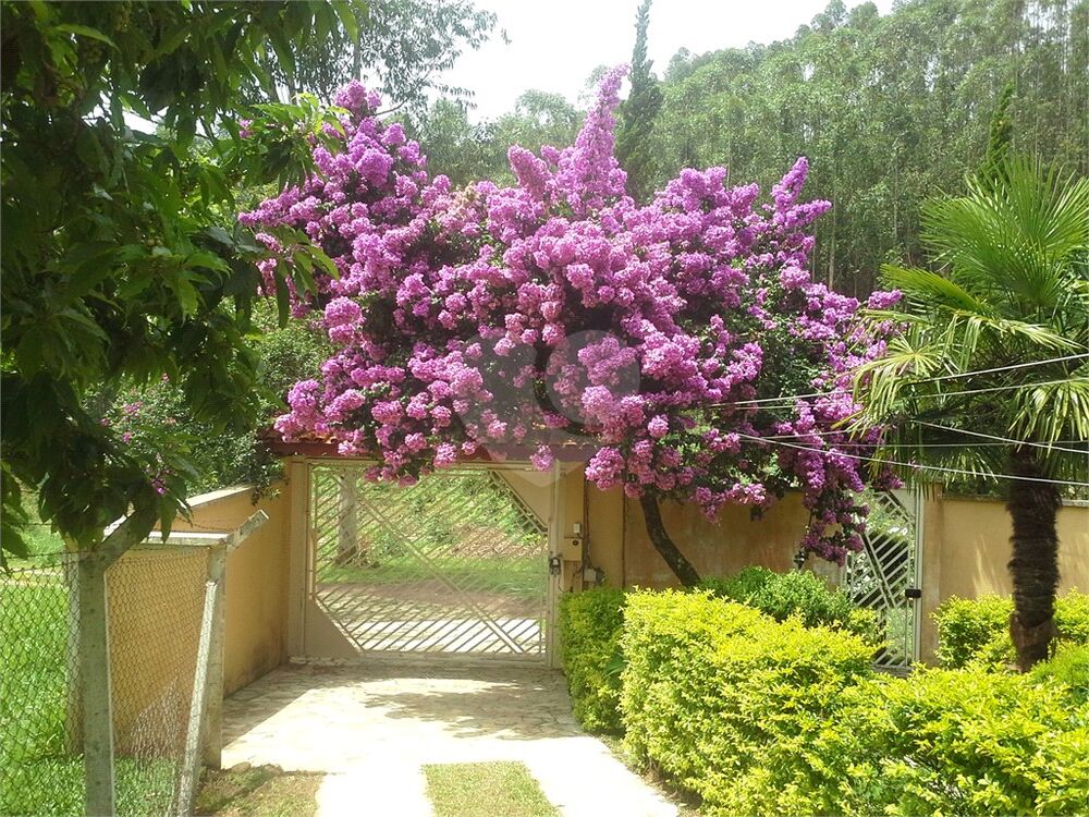 Sítio, 3 quartos, 6 hectares - Foto 3