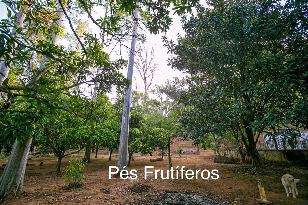 Casa, 7 quartos, 6000 m² - Foto 19