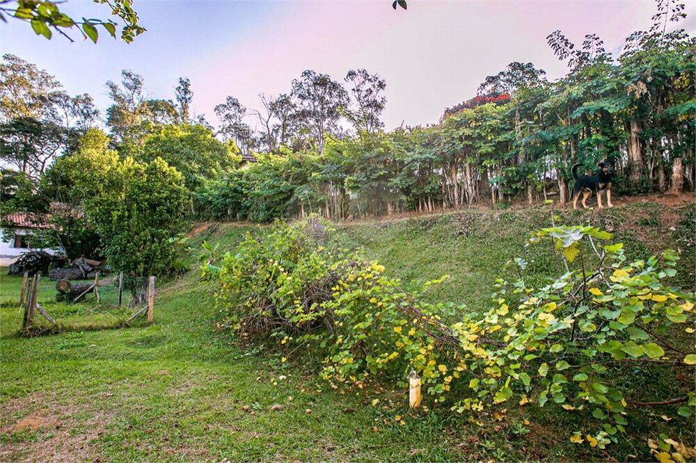 Casa, 7 quartos, 6000 m² - Foto 35