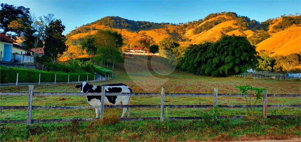 Sítio à venda com 3 quartos, 700m² - Foto 3