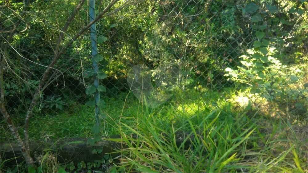 Casa, 4 quartos, 900 m² - Foto 8