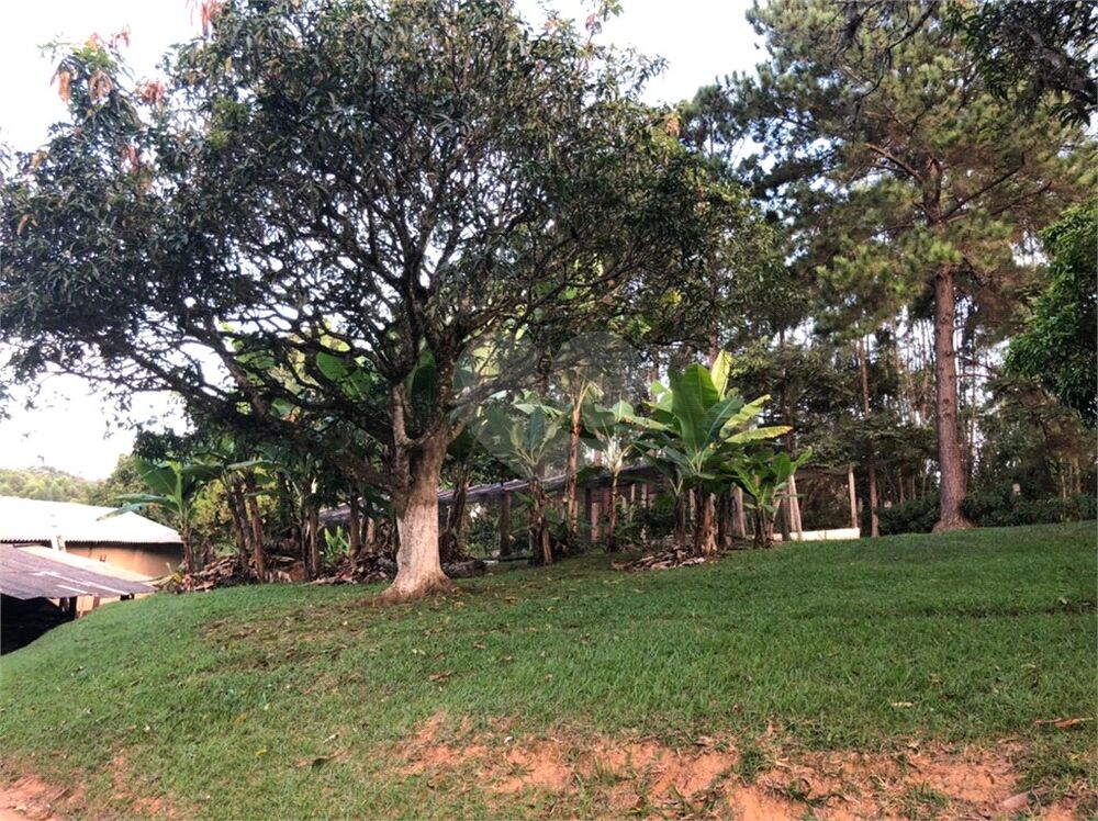 Chácara, 4 quartos, 3 hectares - Foto 4