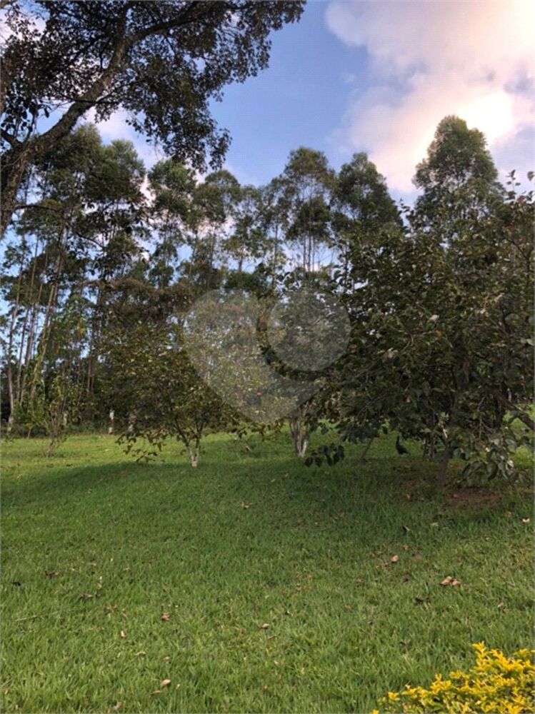 Chácara, 4 quartos, 3 hectares - Foto 7