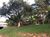 Chácara, 4 quartos, 3 hectares - Foto 4