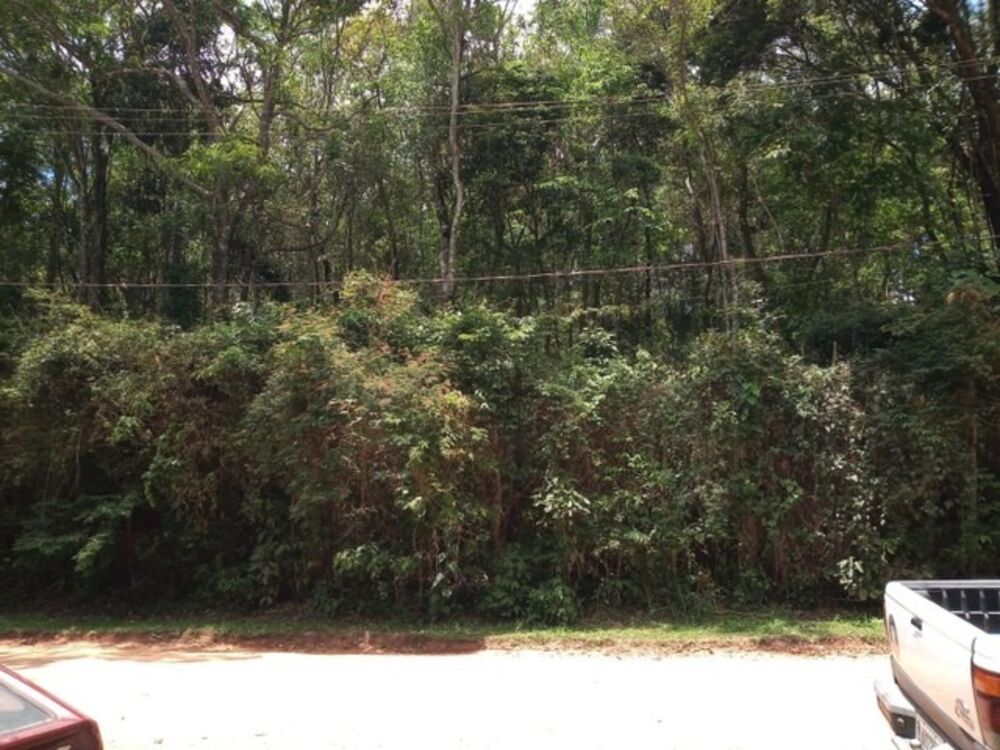 Terreno, 690 m² - Foto 3