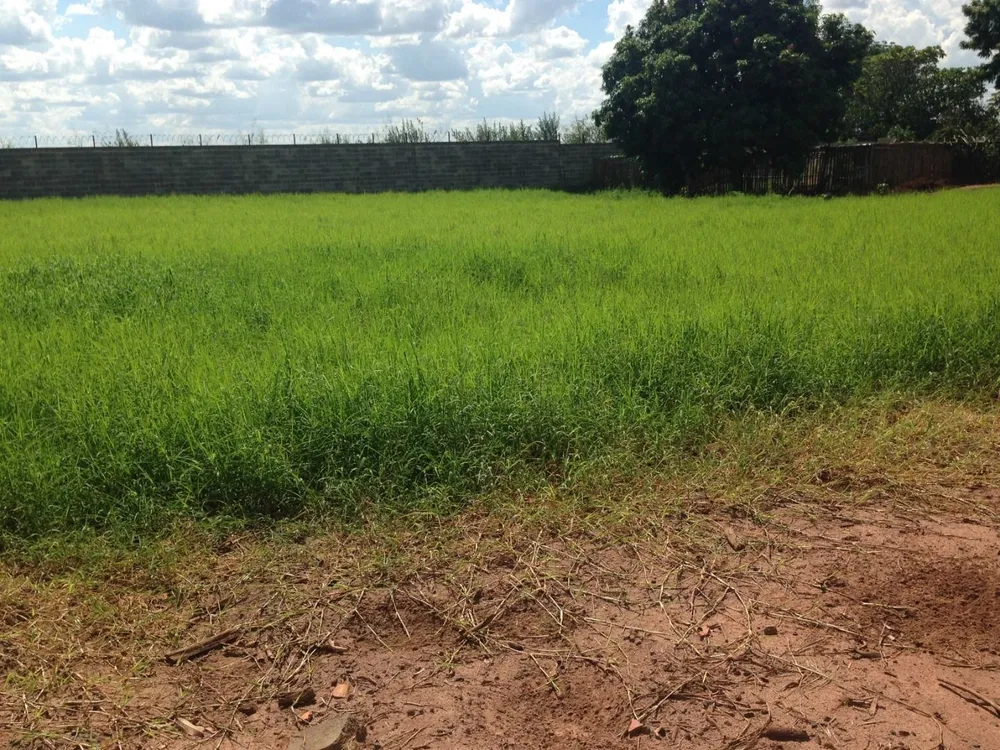 Terreno, 2500 m² - Foto 10