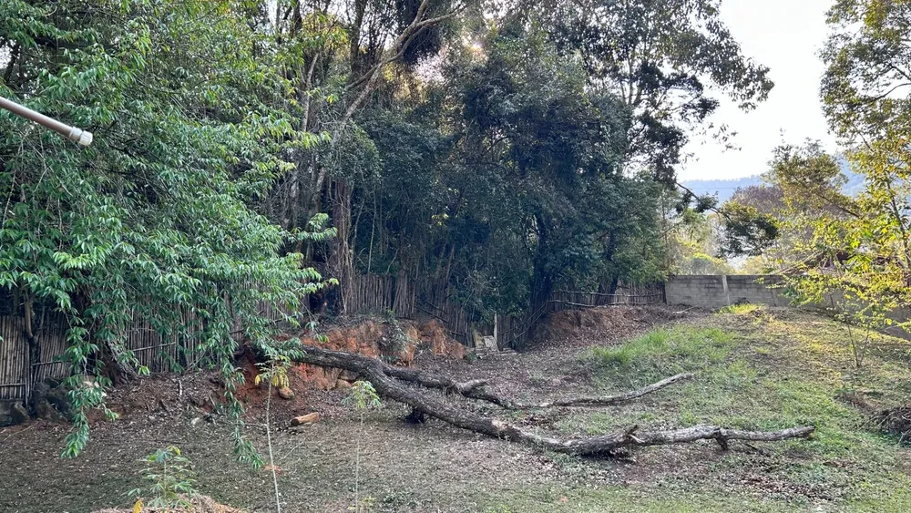 Chácara, 5 quartos, 10000 m² - Foto 7