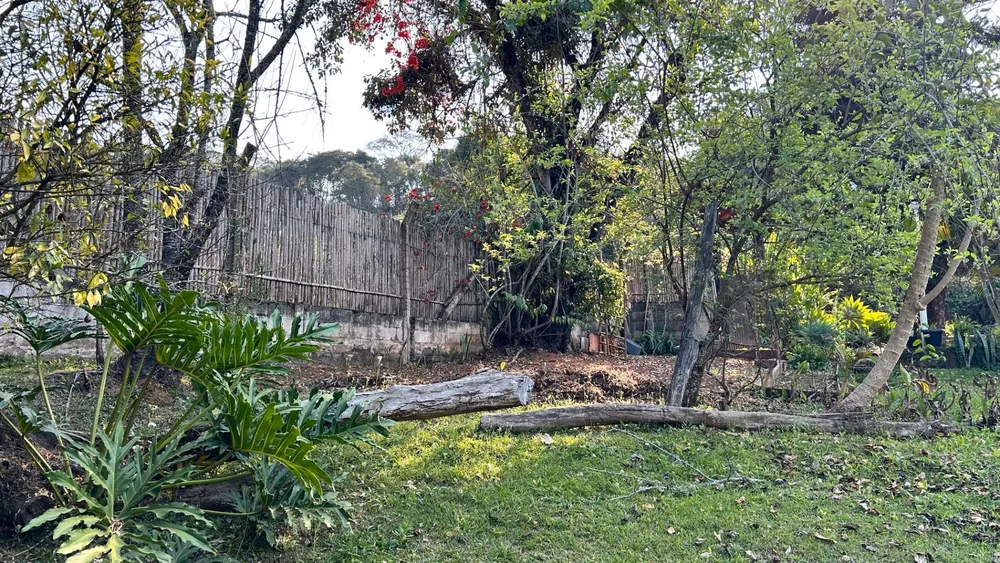 Chácara, 5 quartos, 10000 m² - Foto 3