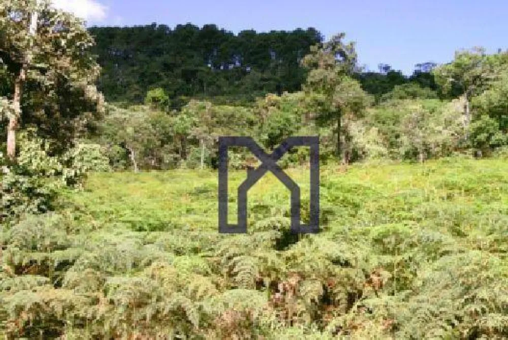 Fazenda, 57 hectares - Foto 2