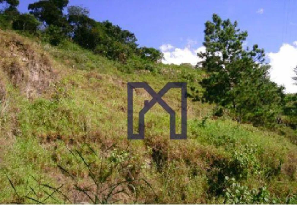 Fazenda, 57 hectares - Foto 3