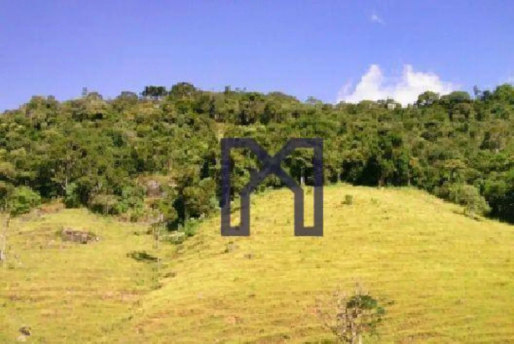 Fazenda, 57 hectares - Foto 5