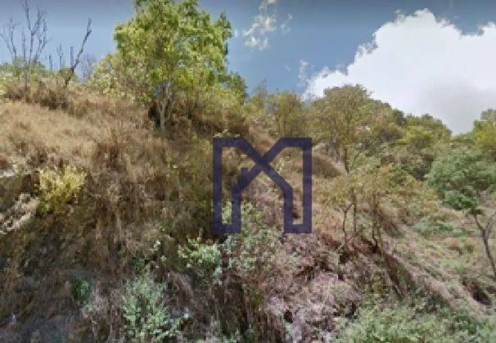 Fazenda, 57 hectares - Foto 6