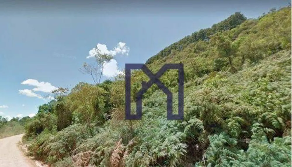 Fazenda, 57 hectares - Foto 4