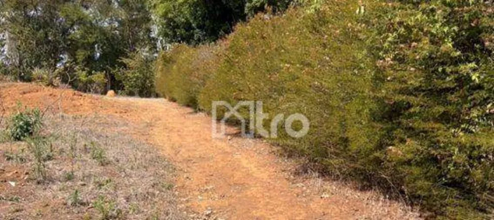 Terreno, 1630 m² - Foto 2