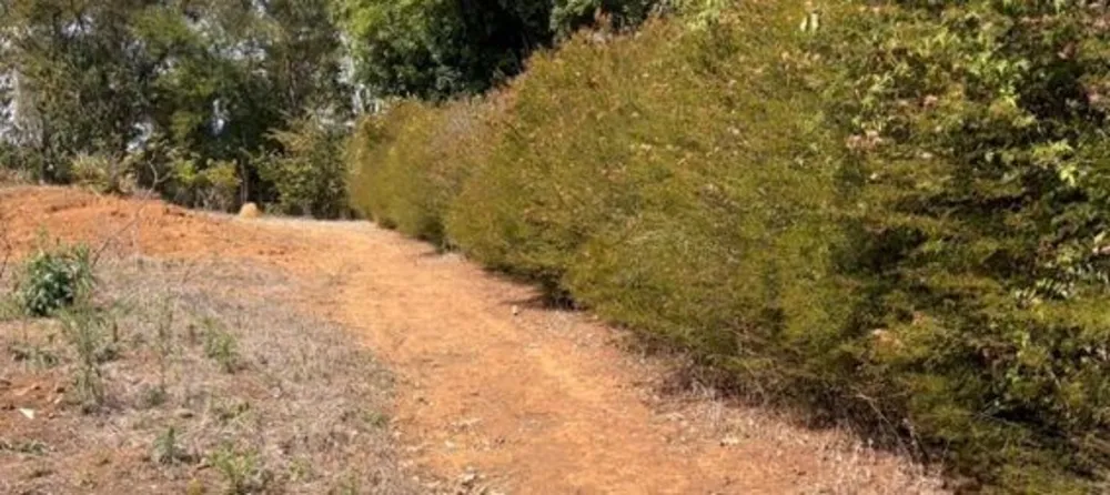 Terreno, 1630 m² - Foto 8