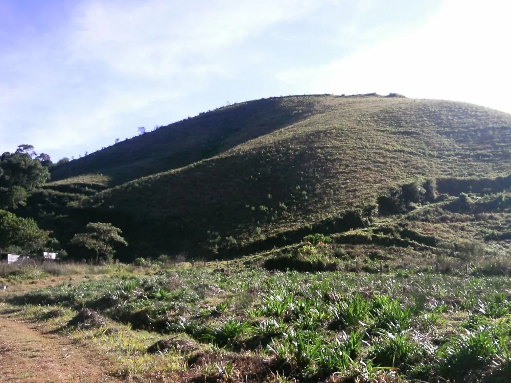 Sítio, 15 hectares - Foto 4