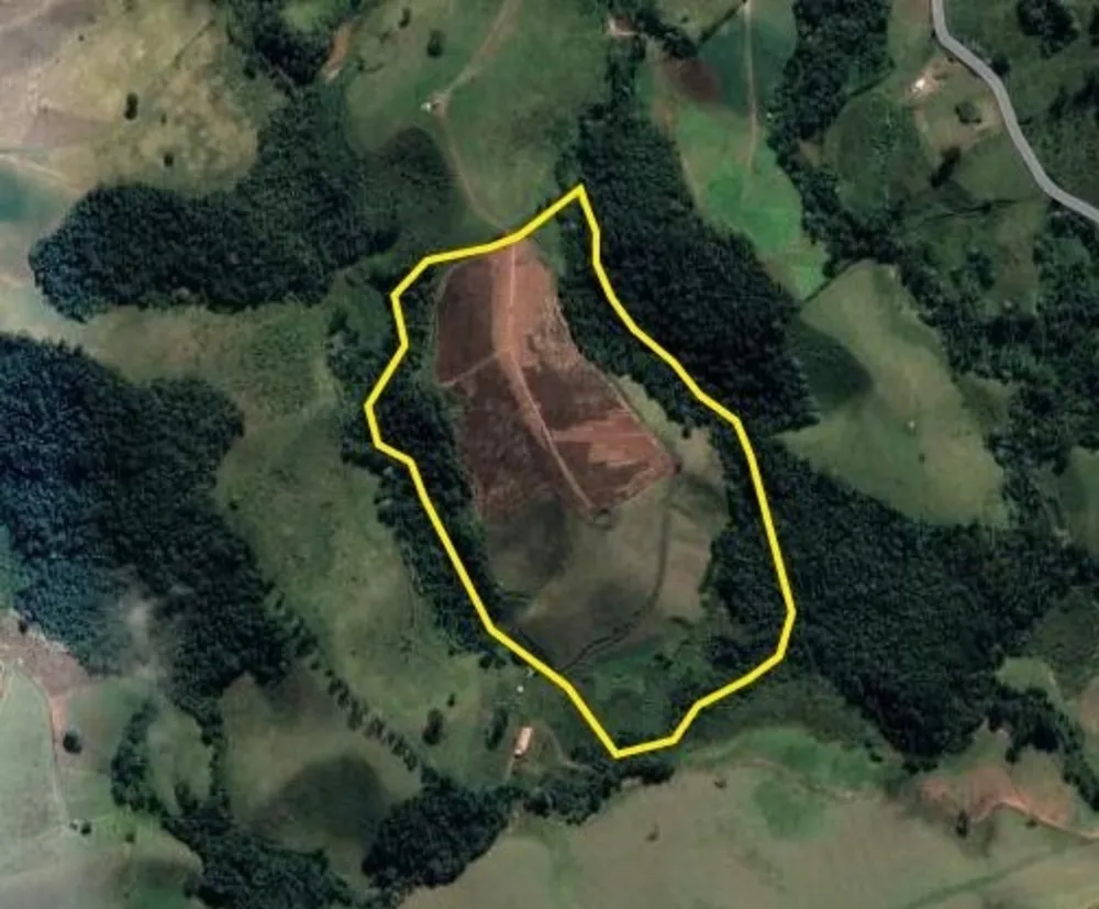 Sítio, 15 hectares - Foto 3