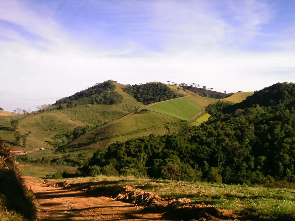 Sítio, 15 hectares - Foto 2