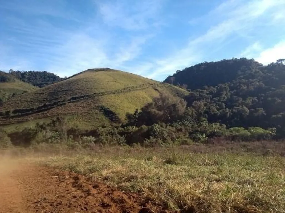 Sítio, 15 hectares - Foto 8