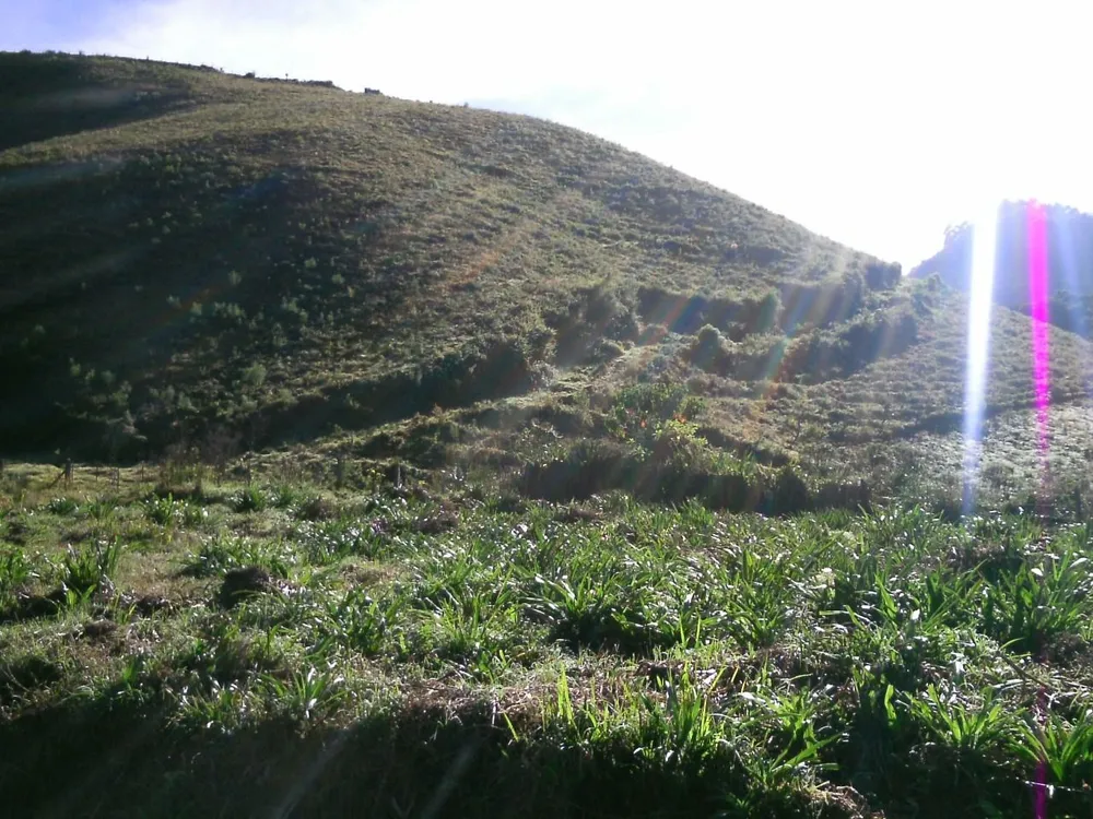 Sítio, 15 hectares - Foto 1