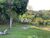 Sítio, 5 quartos, 18 hectares - Foto 2