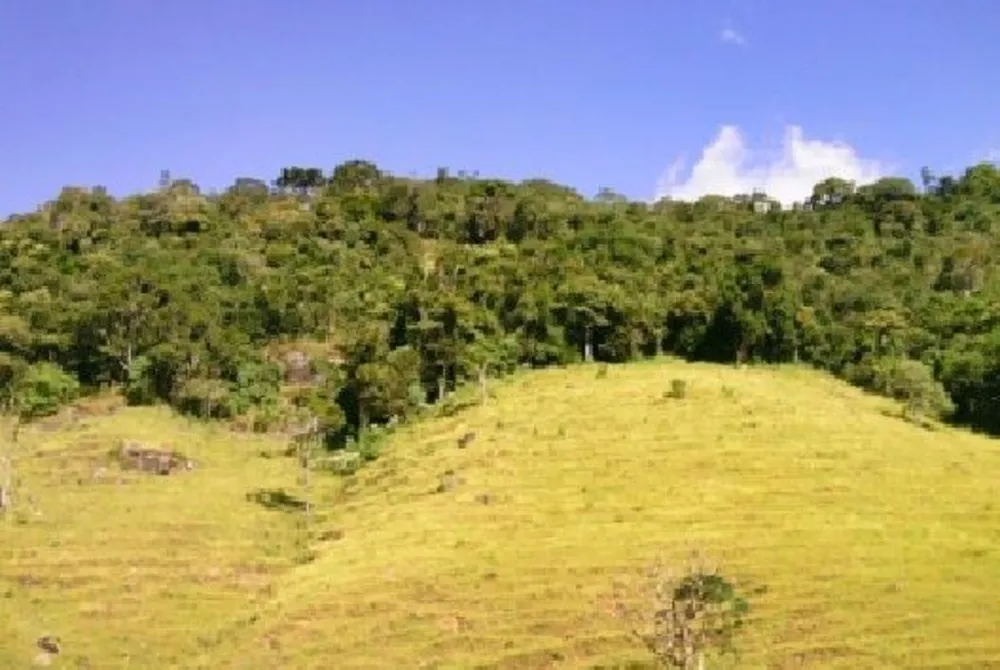 Sítio, 57 hectares - Foto 2