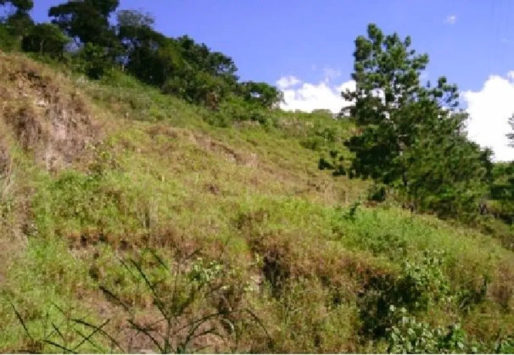 Sítio, 57 hectares - Foto 4