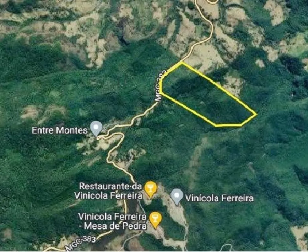 Sítio, 57 hectares - Foto 7