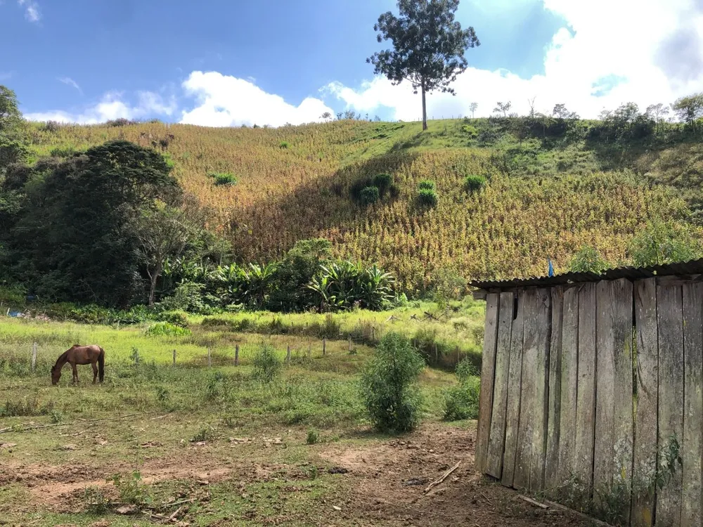 Sítio, 5 quartos, 6 hectares - Foto 12