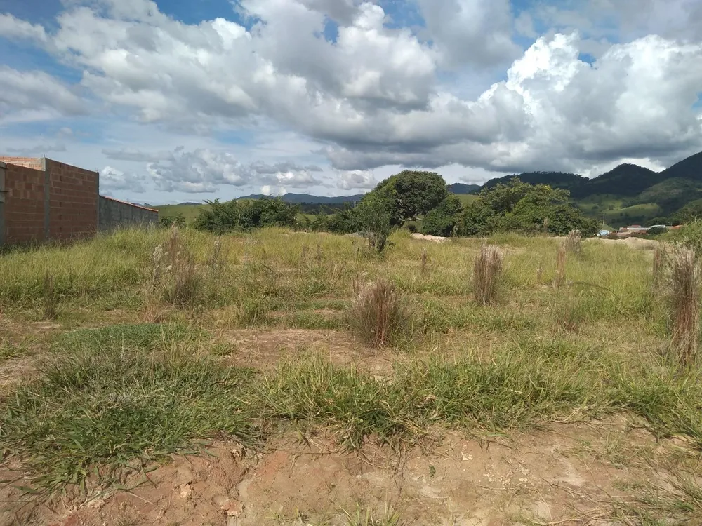 Terreno, 2289 m² - Foto 8